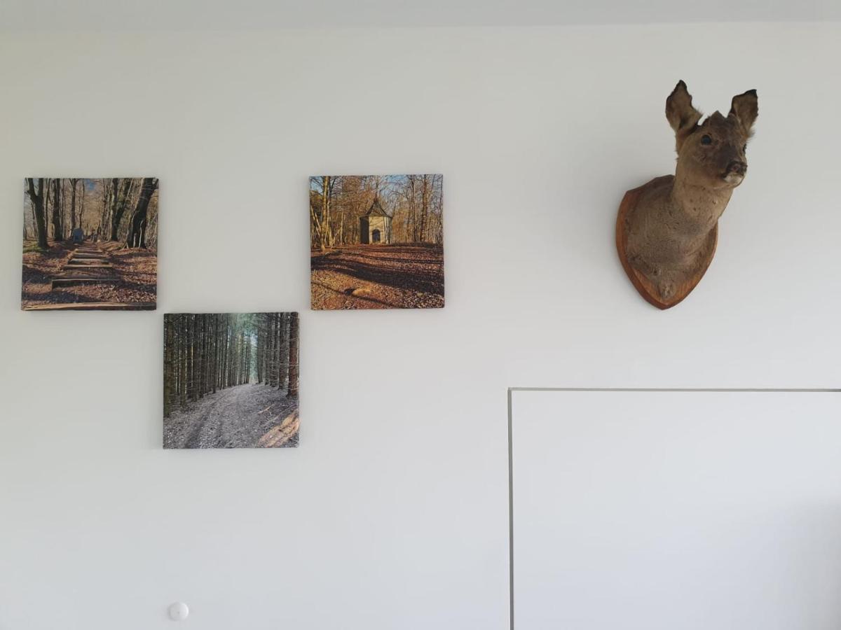 Terrasses De Malmedy - Duplex "Happiness" - Pellet & Airco- Appartement Buitenkant foto