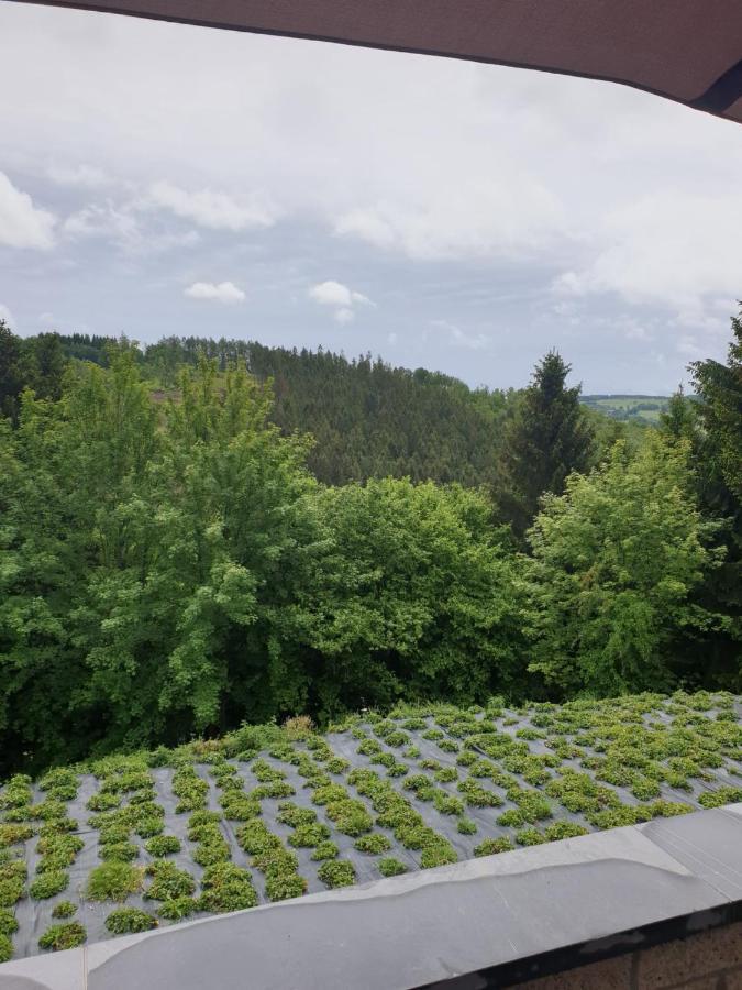 Terrasses De Malmedy - Duplex "Happiness" - Pellet & Airco- Appartement Buitenkant foto